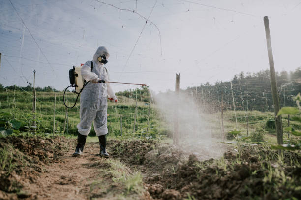 Best Pest Removal Services  in Higginsville, MO