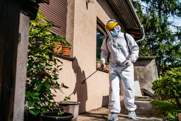 Best Cockroach Control Services  in Higginsville, MO