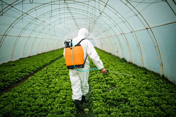 Best Affordable Pest Control Services  in Higginsville, MO