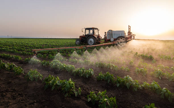 Best Pest Removal Services  in Higginsville, MO