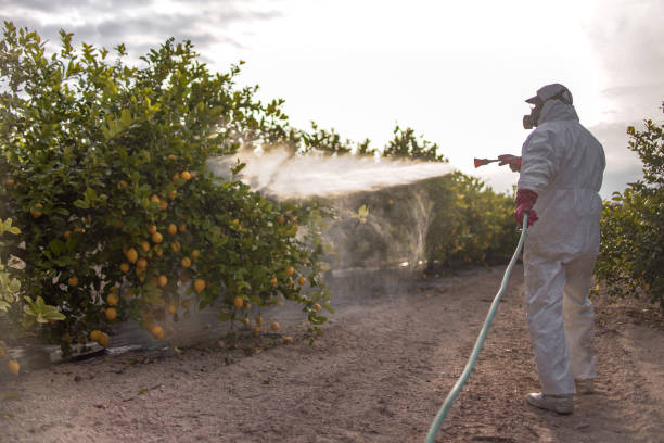 Best Best Pest Control Companies  in Higginsville, MO