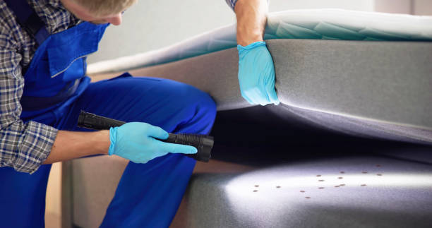 Best Rat Extermination Near Me  in Higginsville, MO