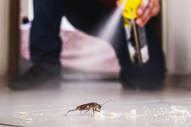Best Cockroach Control Services  in Higginsville, MO